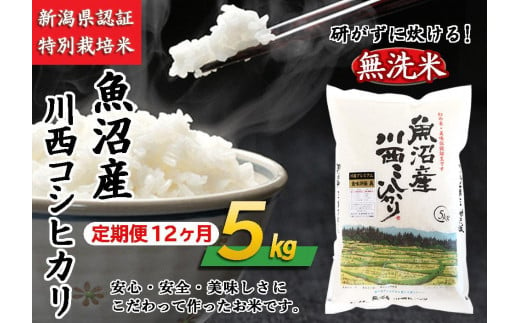 定期便／１２ヵ月】無洗米 魚沼産川西こしひかり５kg 令和５年度米