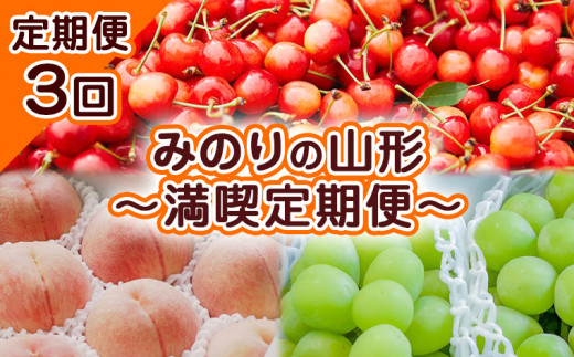 【定期便3回】みのりの山形～満喫定期便～ 【令和6年産先行予約】FS23-705 フルーツ定期便 くだもの 果物 さくらんぼ 佐藤錦 もも 白桃 ぶどう 葡萄 シャインマスカット 山形 山形県 山形市 2024年産