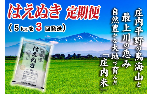 SC0417 【3回定期便】令和5年産 はえぬき 5kg×3回(計15kg) SI - 山形県