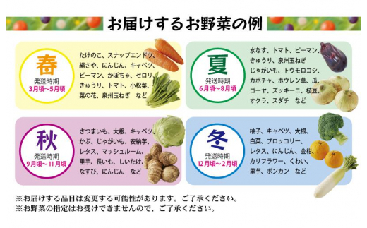 年内発送】旬の野菜セット 詰め合わせ 7種類以上 国産 新鮮 お試し