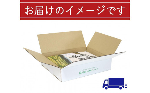 定期便／６ヶ月】魚沼産川西こしひかり2kg 新潟県認証特別栽培米 令和