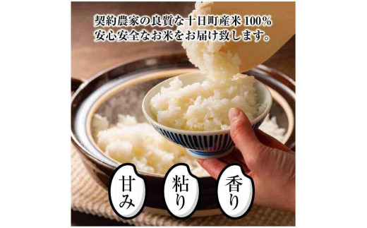 魚沼産 コシヒカリ 特別栽培米 5kg 米 こしひかり お米 コメ