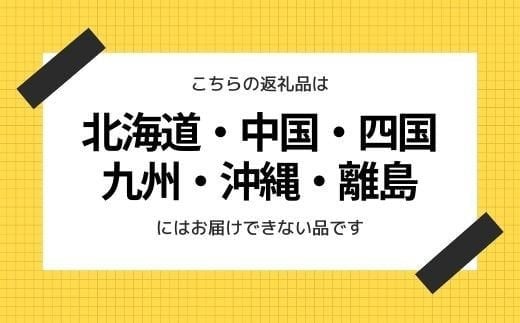 アイテムID:396020の画像5枚目