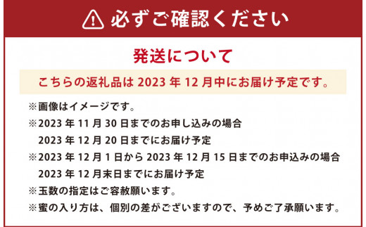 12月中にお届け！青森県産 サンふじ・王林詰合せ 3kg りんご 年内配送