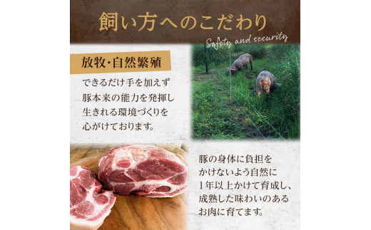 放牧豚】挽き肉 1kg 肉 豚肉 ひきにく ウデモモ ひき肉 北海道 F4F