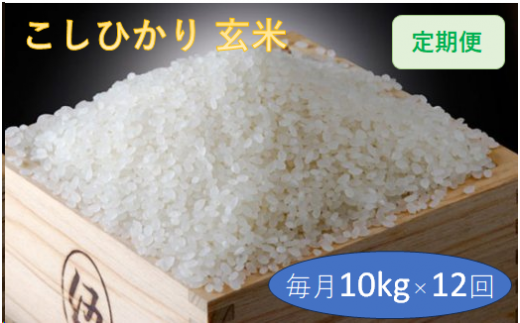 定期便 12回 こだわり コシヒカリ 玄米 10kg / お米