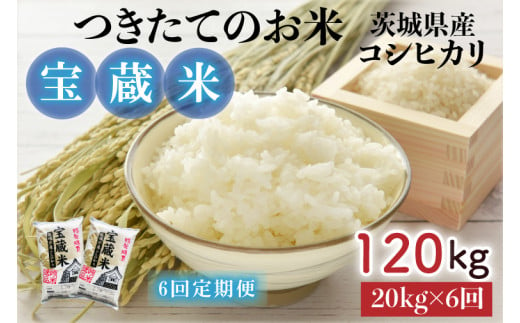 CZ-110　【6ヶ月定期便】【令和5年産】茨城県産コシヒカリ 宝蔵米 20kg×6回 1099099 - 茨城県水戸市