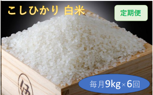 定期便 6回 こだわり コシヒカリ 白米 9kg / お米 定期便 精米 厳選 米 ごはん ご飯 産地直送