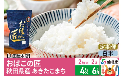 白米】《定期便6ヶ月》令和5年産 仙北市産 おばこの匠 2kg×6回 計12kg