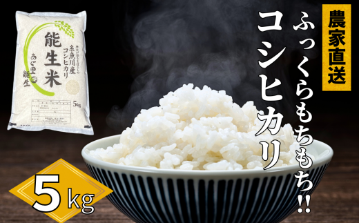 米 5kg」のふるさと納税 お礼の品一覧【ふるさとチョイス】