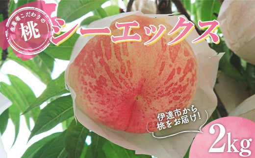【先行予約】 福島の桃  生産者こだわりの桃 シーエックス2kg （5～6玉） F20C-782