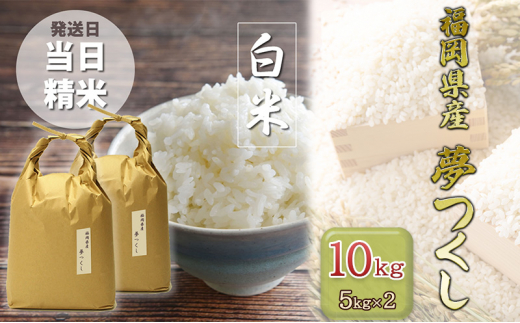 米 10kg 夢つくし 福岡の食卓ではおなじみ 人気のお米 5kg×2袋 白米 お