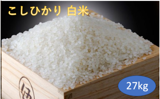 こだわり コシヒカリ 白米 27kg / お米 精米 厳選 米 ごはん ご飯 産地直送