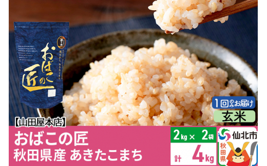 仙北市」のふるさと納税 お礼の品一覧【ふるさとチョイス】 14ページ目