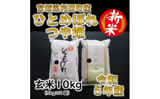 新米＞令和5年産 ひとめぼれ・つや姫 精米10kg(5kg×2) 食べ比べ 宮城県