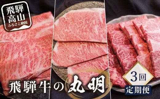 満喫飛騨牛4ヶ月定期便（全4回）牛肉 しゃぶしゃぶ すき焼き ステーキ