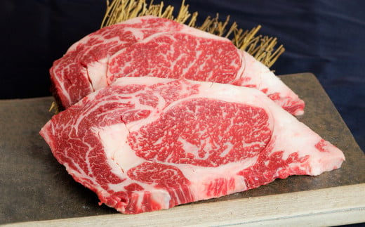 【12ヶ月定期便】あか牛ステーキ 12種 極上 食べ比べ あか牛 合計約6.09kg タレ付き 1118175 - 熊本県合志市