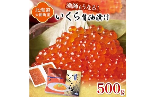 北海道産 鮭いくら醤油漬け 計500g(250g×2パック)＜漁協直送＞【1423870】