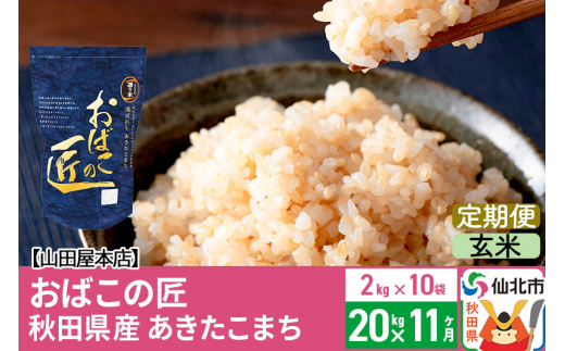 玄米】《定期便11ヶ月》令和5年産 仙北市産 おばこの匠 20kg×11回 計