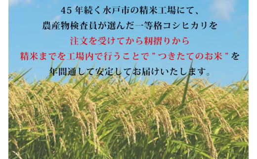 令和6年産】茨城県産コシヒカリ 宝蔵米 15kg【お米 米 菊池 こしひかり つきたてのお米 食味ランキング特A評価 茨城県 水戸市】（CZ-405）  - 茨城県水戸市｜ふるさとチョイス - ふるさと納税サイト