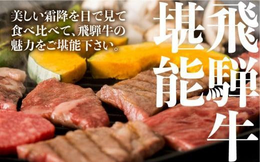 2024年6月発送】飛騨牛 焼肉 6種食べ比べ セット 600g(100g×6） 希少