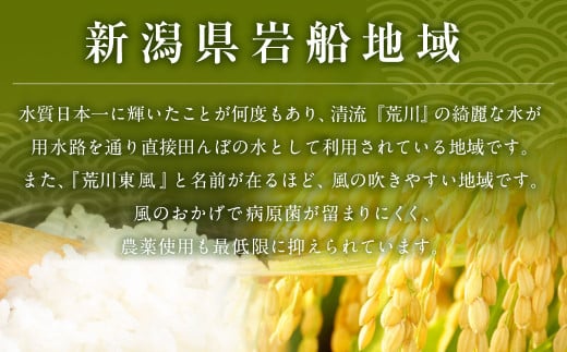 新潟県村上市のふるさと納税 【新米受付・令和6年産米】NA4152 岩船産　新之助　精米2㎏×3個セット