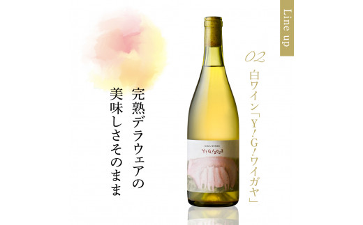 無添加ナチュラルワイン 2022年ヴィンテージ3種6本セット IKKA WINES【601−1】K-2270 - 山形県東根市｜ふるさとチョイス -  ふるさと納税サイト