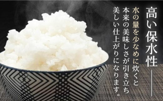 福岡県産夢つくし2合×5袋とはかた一番どり鶏ごぼうご飯の素1袋2合炊き