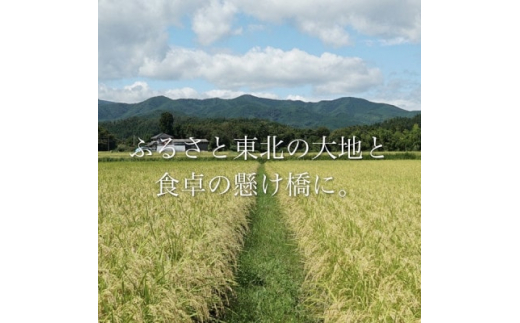 新米＞令和5年産 宮城県産つや姫 精白米10kg ◇8年連続最高評価特A受賞