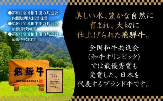 2024年5月発送】飛騨牛 焼肉 6種食べ比べ セット 600g(100g×6） 希少