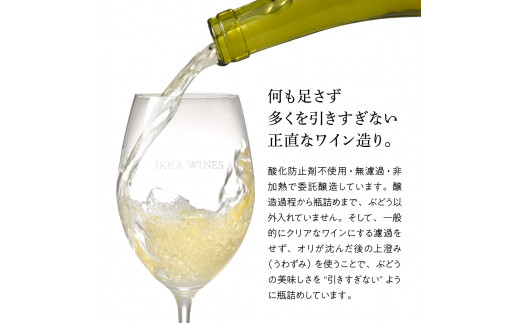 無添加ナチュラルワイン 白ワイン「Y!G!」2本セット IKKA WINES【204−1】