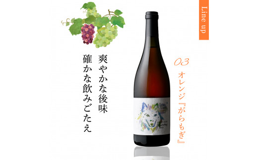 無添加ナチュラルワイン 2022年ヴィンテージ3種セット IKKA WINES【301