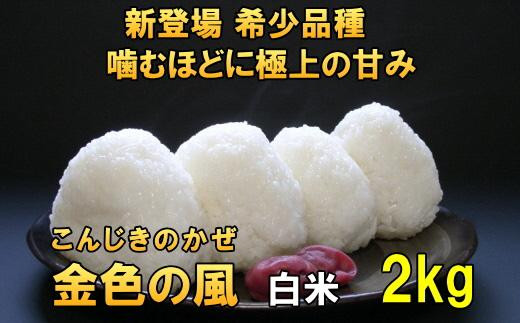 【白米2kg】新登場の高級米　令和6年産  岩手県奥州市産 金色の風【７日以内発送】 おこめ ごはん ブランド米 精米 白米 531426 - 岩手県奥州市