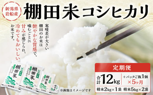 【定期便：5ヶ月連続でお届け】【令和6年産米】新潟県岩船産 棚田米コシヒカリ 12kg+パックごはん(150g×1個)×5ヶ月 E4047 1091036 - 新潟県村上市