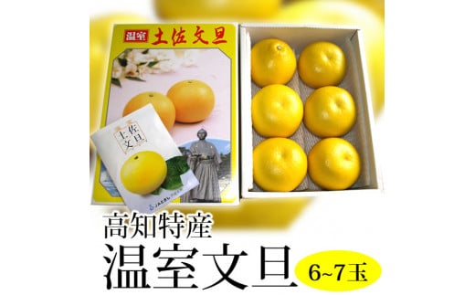 【C06037】温室文旦 3kg・6〜7玉［期間限定品］ 1544607 - 高知県高知県庁