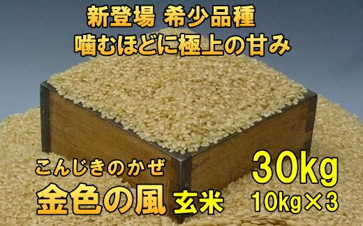 【12月6日より価格改定】【玄米10kgx3袋】新登場の高級米　令和6年産  岩手県奥州市産 金色の風 30kg（10kg×3）【７日以内発送】 531449 - 岩手県奥州市