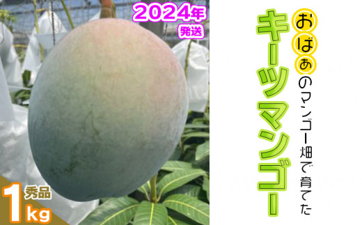 【2024年発送】おばぁーのマンゴー畑で育てたキーツマンゴー1kg（秀品）