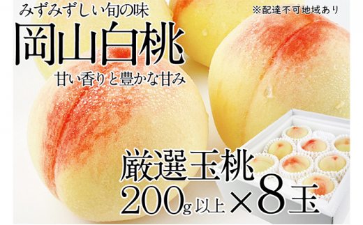 岡山県岡山市のふるさと納税 お礼の品ランキング【ふるさとチョイス