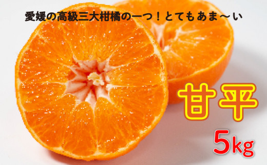 先行予約 甘平5kg 精品 家庭用 みかん 蜜柑 甘平 ポンカン 高級 紅まどんな せとか 人気 ブランド 柑橘 果物 フルーツ ギフト 贈り物 プレゼント  お取り寄せ 産地直送 農家直送 国産 特産品 中山農園 愛媛県 愛南町