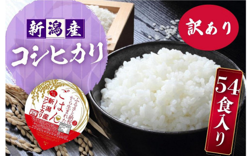 令和5年産新米】【先行予約】熊野米5kg ※9月より順次発送致します