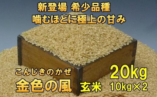 【12月6日より価格改定】【玄米20kg】新登場の高級米　令和6年産  岩手県奥州市産 金色の風 20kg（10kg×2）【７日以内発送】 531445 - 岩手県奥州市