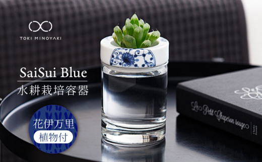 【美濃焼】SaiSui Blue（花伊万里）植物付き【大東亜窯業】 [MAG065] 1119744 - 岐阜県土岐市
