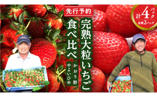 【 先行予約 】 完熟 かおり野 やよいひめ 食べ比べ 4パック セット いちご イチゴ 苺 食べくらべ セット [AF089ci]