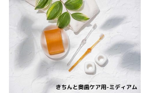 モンスール歯ブラシ　かたさ-ふつう　6本セット 1119356 - 兵庫県神戸市