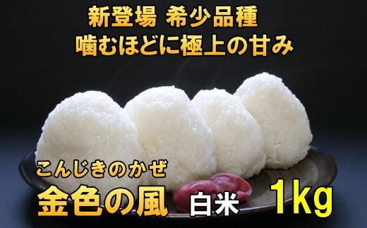 【白米1kg】新登場の高級米　令和5年産  岩手県奥州市産 金色の風【７日以内発送】 おこめ ごはん ブランド米 精米 白米 531424 - 岩手県奥州市