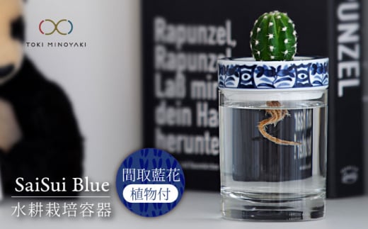 【美濃焼】SaiSui Blue（間取藍花）植物付き【大東亜窯業】 [MAG068] 1119747 - 岐阜県土岐市
