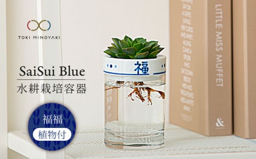 【美濃焼】SaiSui Blue（福福）植物付き【大東亜窯業】 [MAG067] 1119746 - 岐阜県土岐市