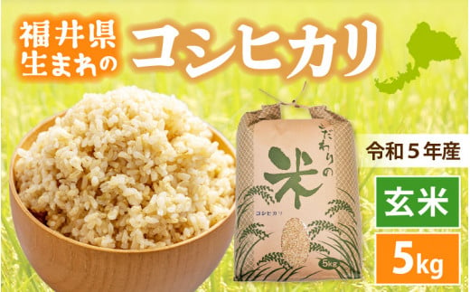 令和2年福井県産コシヒカリ玄米30kg - 食品