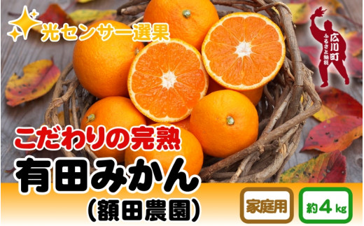 11月発送】【家庭用】こだわりの有田みかん 約4kg ＼光センサー選別