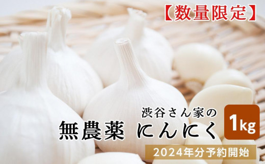 2024年分予約開始！【数量限定】渋谷さん